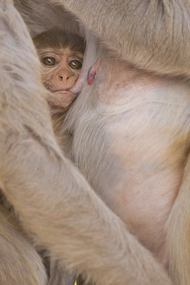 Safest place in the world