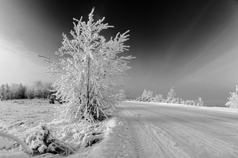 Декабрьская сказка