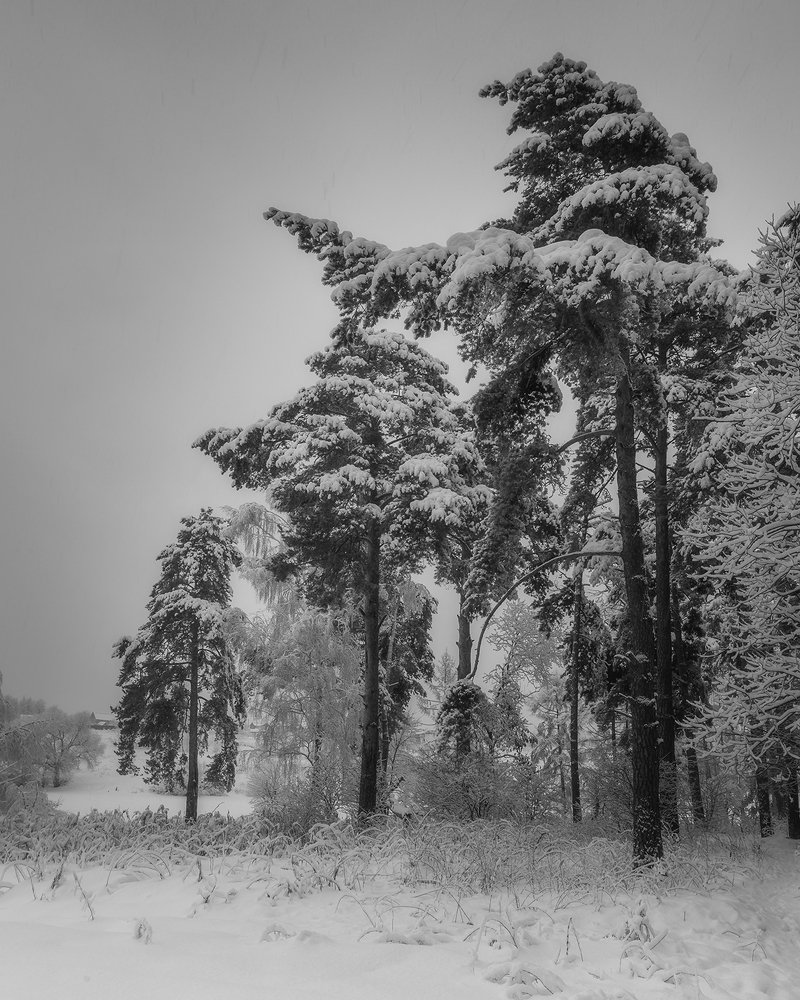 Фотография автора Мартыненко Дмитрий