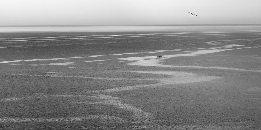 Sea