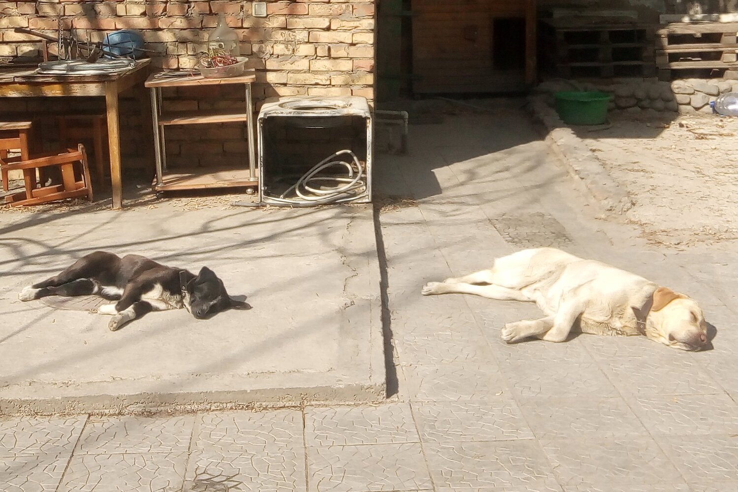 Photo #3140603