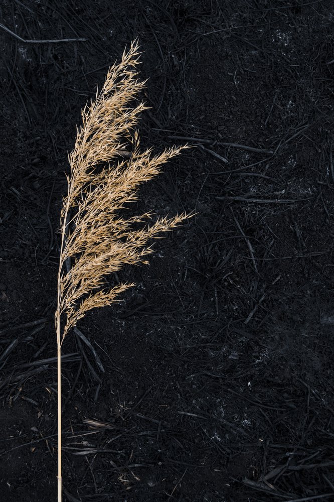 Photograph by Александр Матвиенко