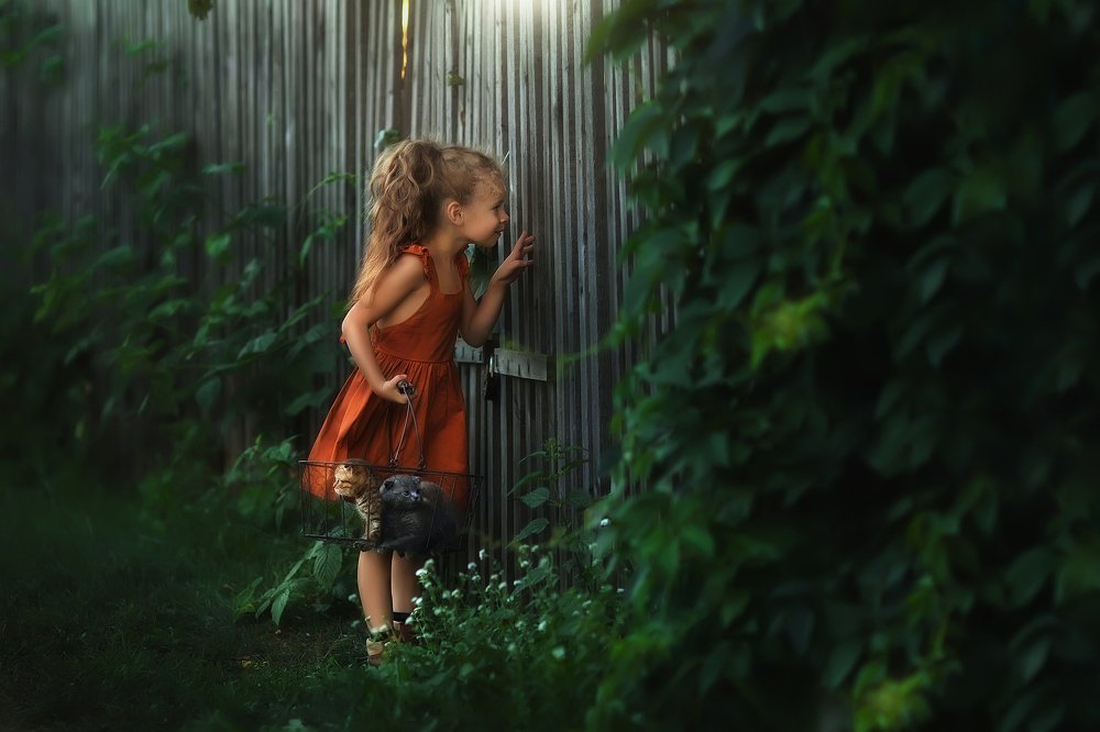 Кому бы подарить котят?