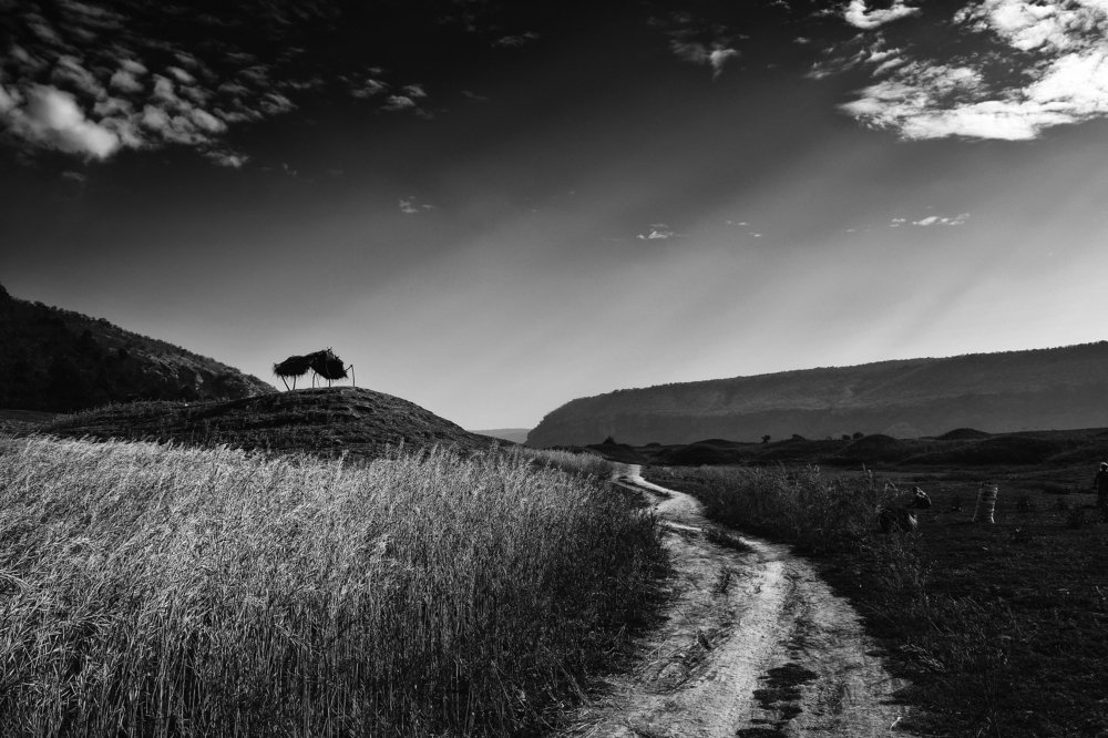 Beauty of Countryside