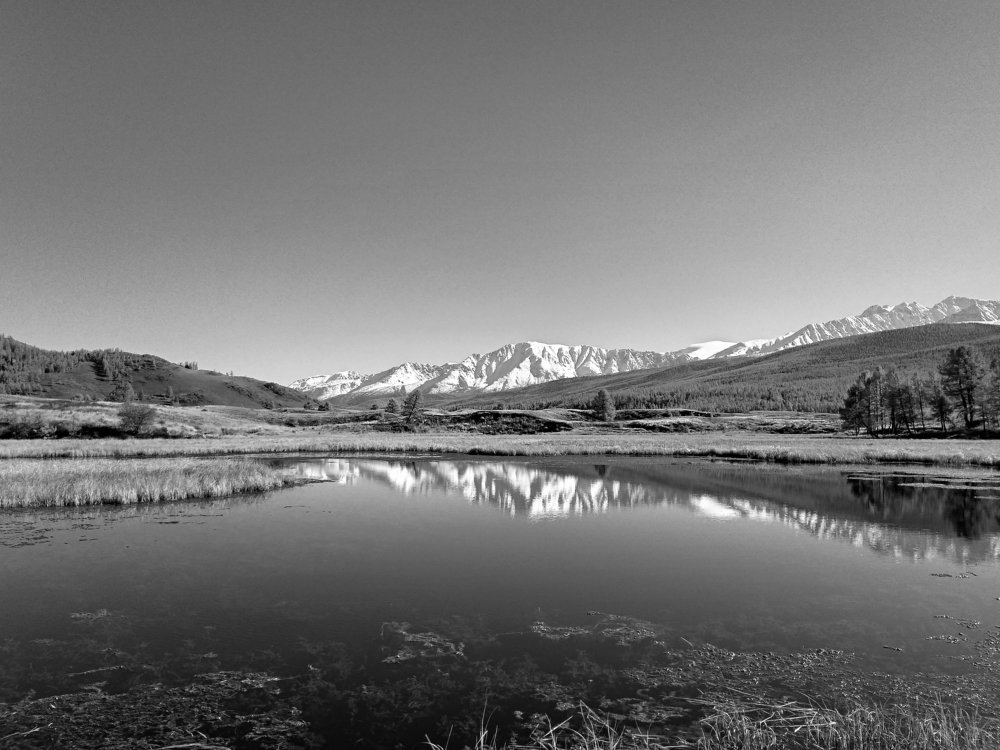 Photograph by Анастасия