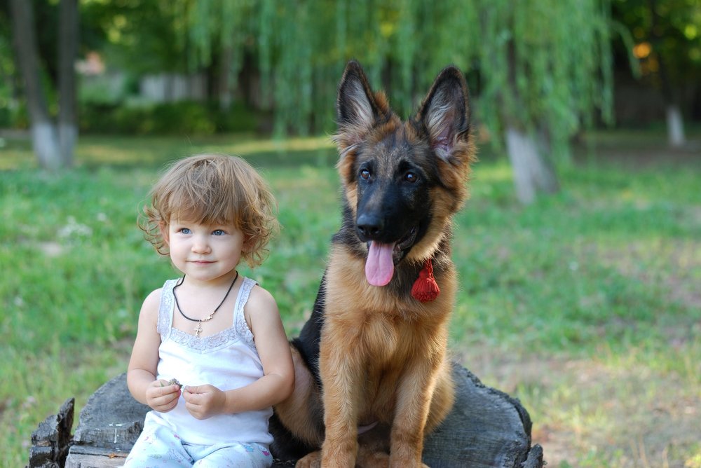 Photograph by Анна Айбетова