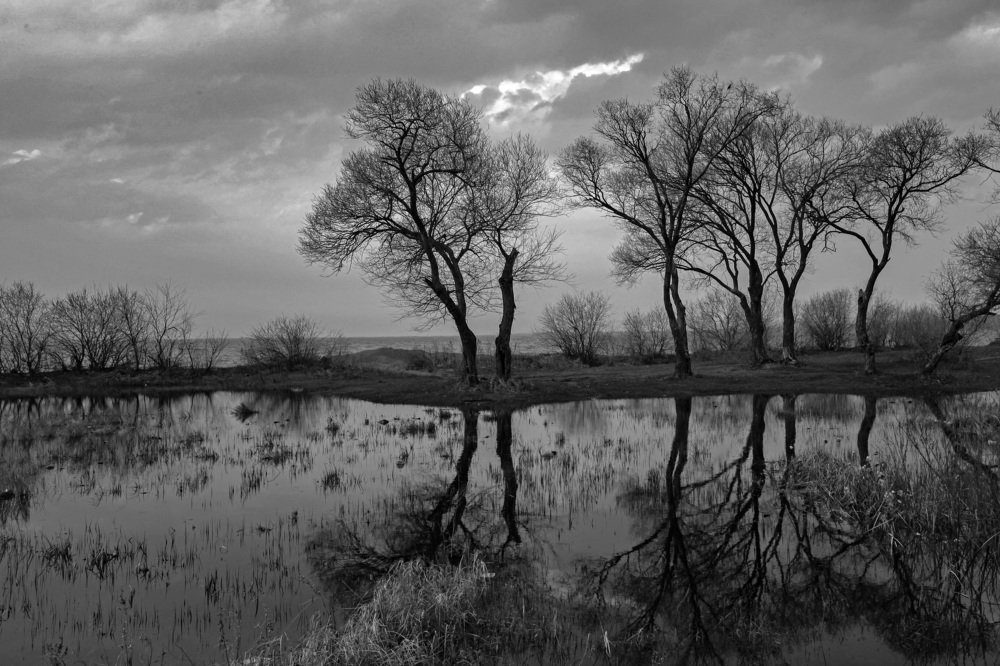 У озера Ханка