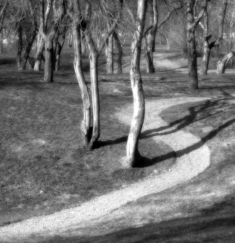 Photograph by Алексей Трунов