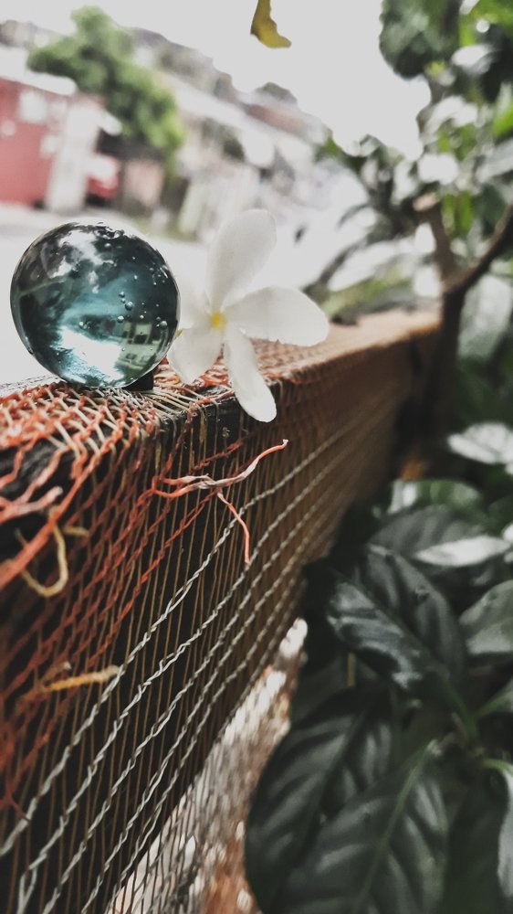 Ball Perspective