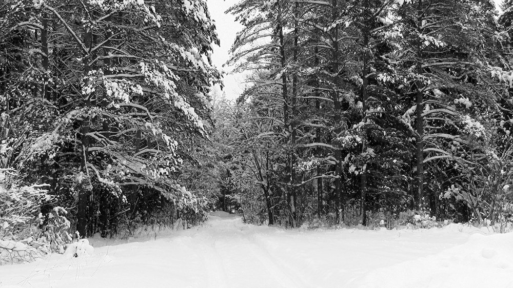 Русская зима.