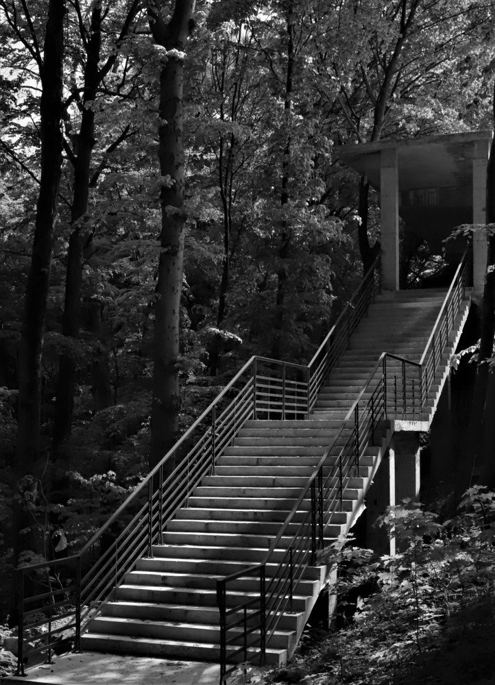 Лестница в....