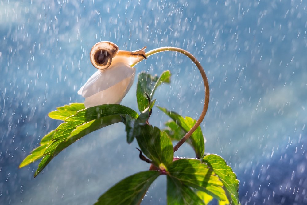 Девочка на шаре.