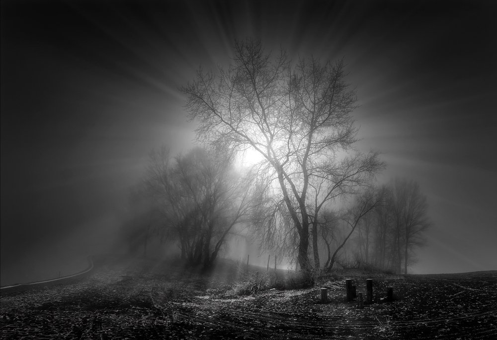 звезда по имени Солнце