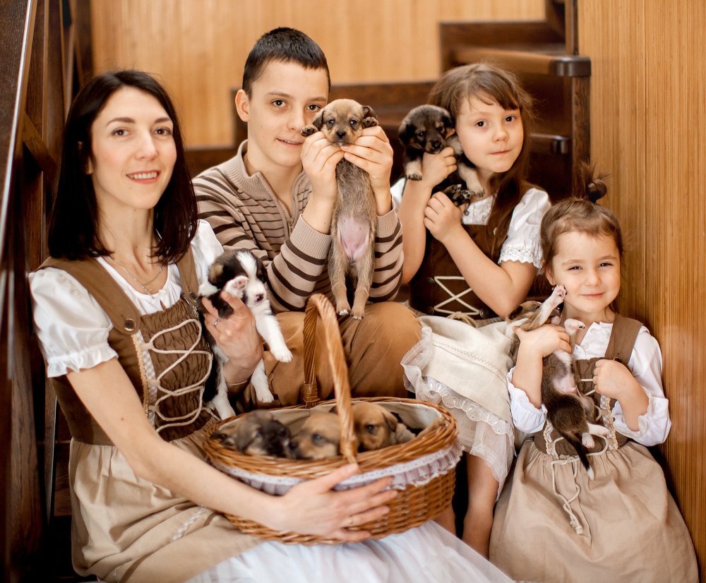 Багато щастя не буває