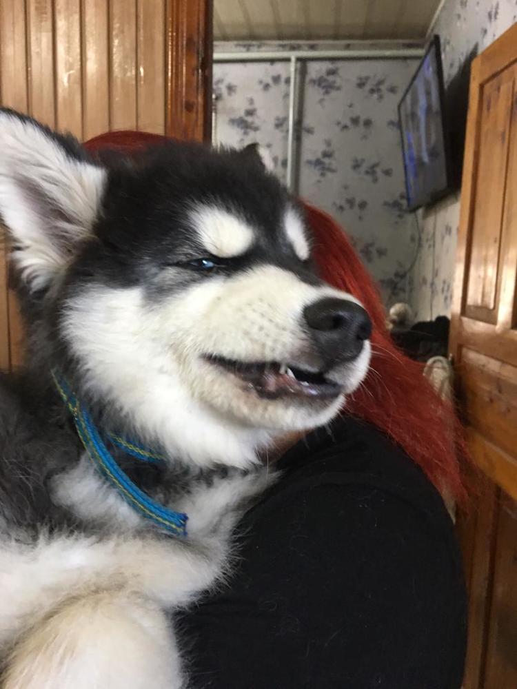 Photograph by Аня