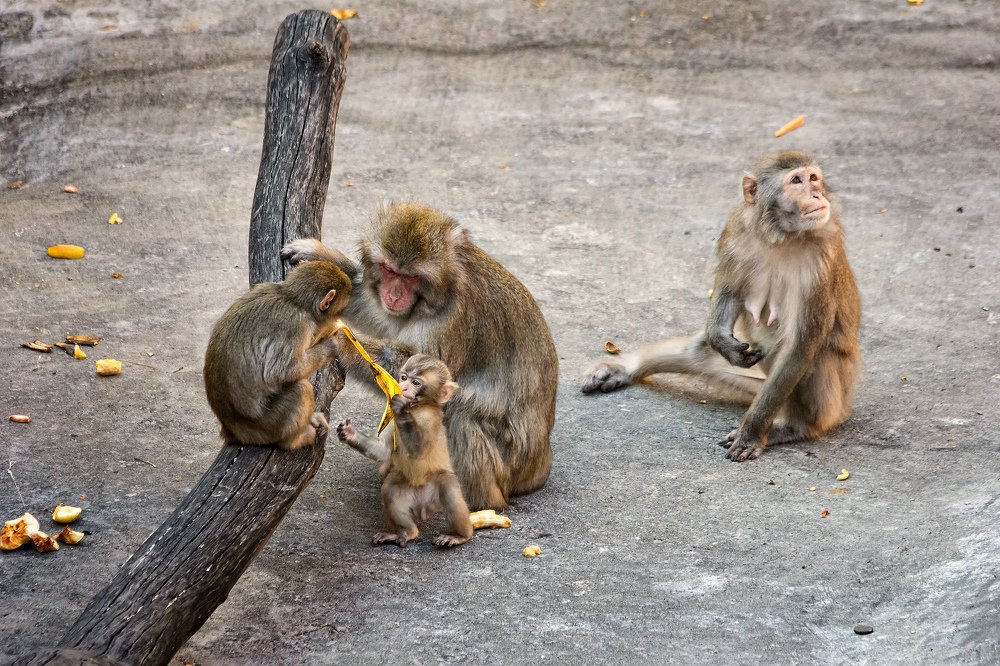 Photograph by Евгения Сафронова