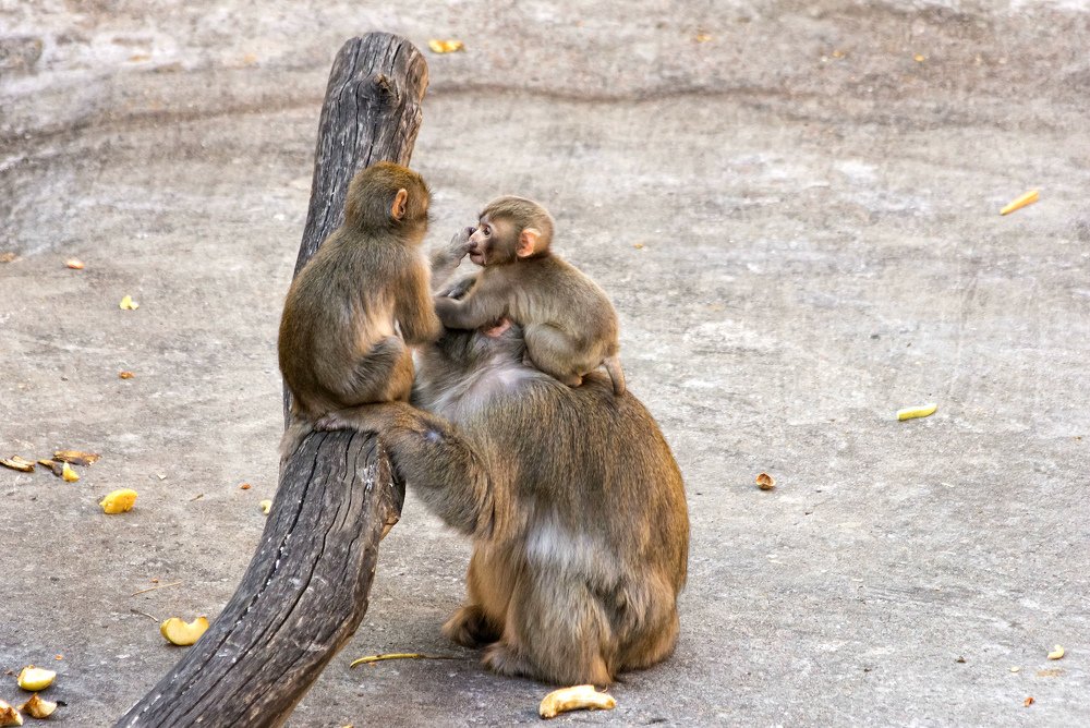 Photograph by Евгения Сафронова
