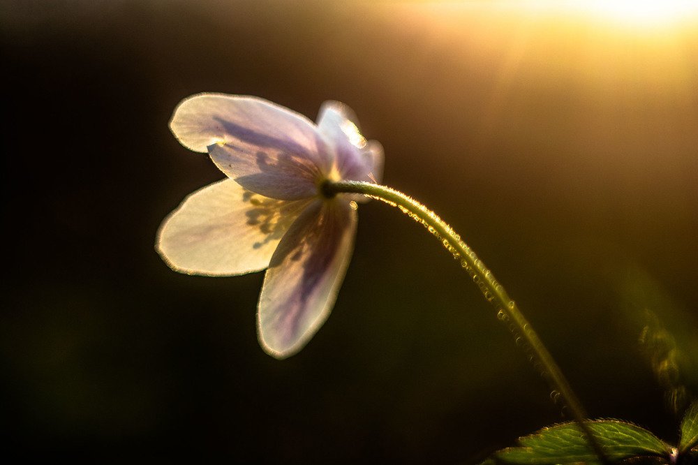 Photograph by Татьяна Конопацкая