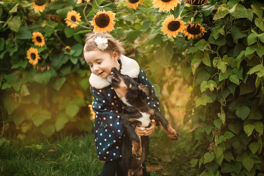 Photograph by Ліля Гуцол