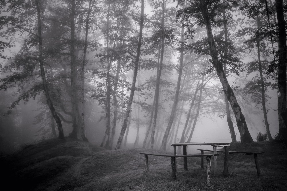 Nature is left alone