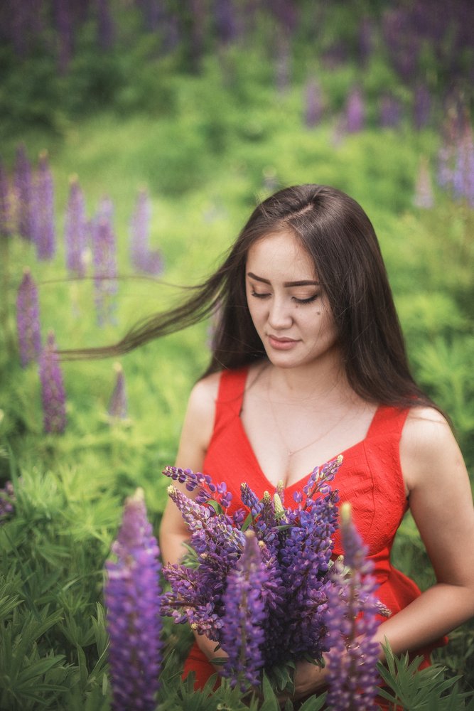 Люпины. Июль. Диля.