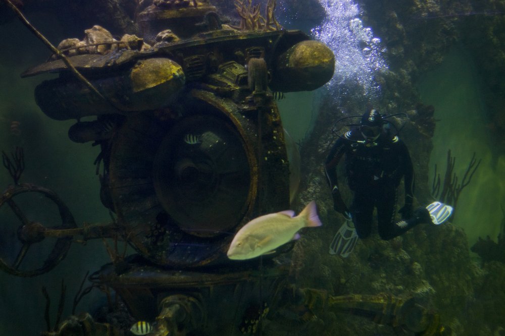 Photograph by Олег