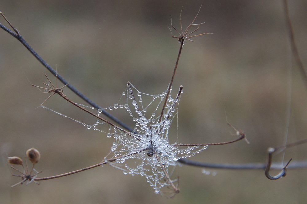 Photograph by Алексей Крукович
