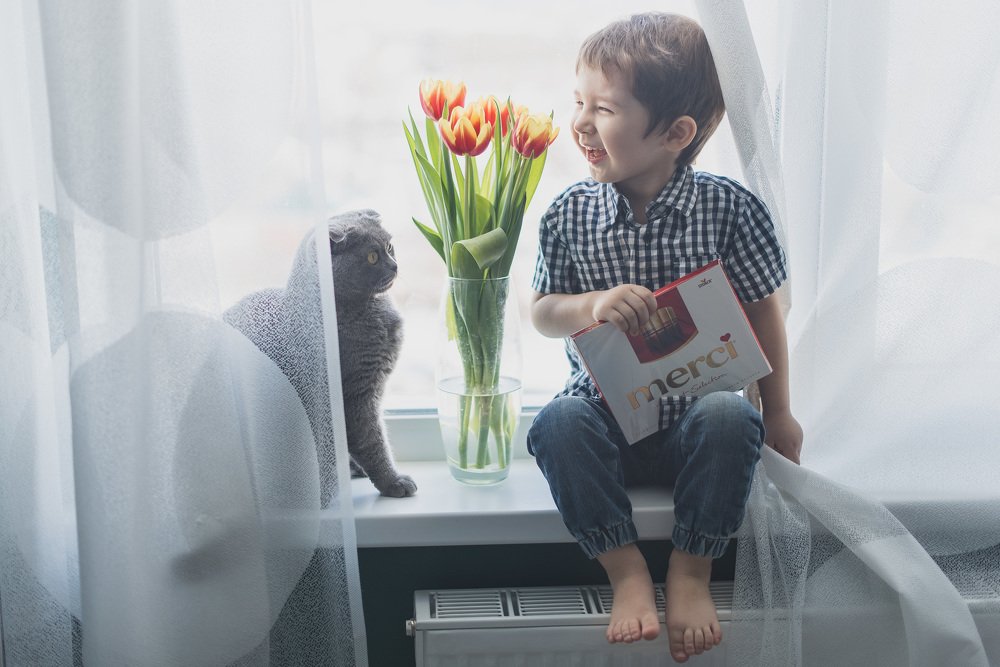 Беседы с котом