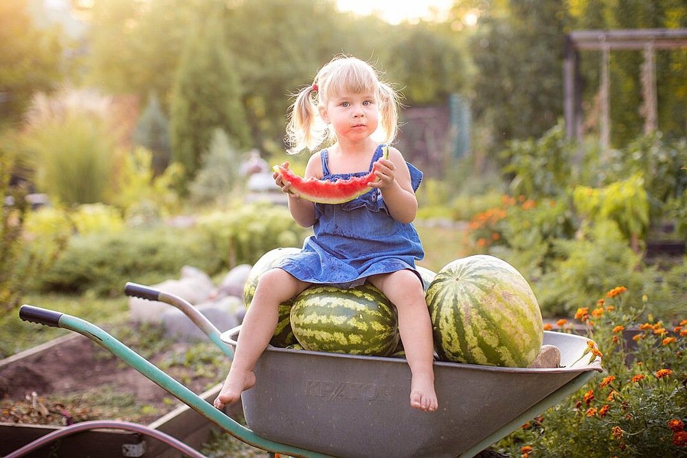 Арбузный вечер