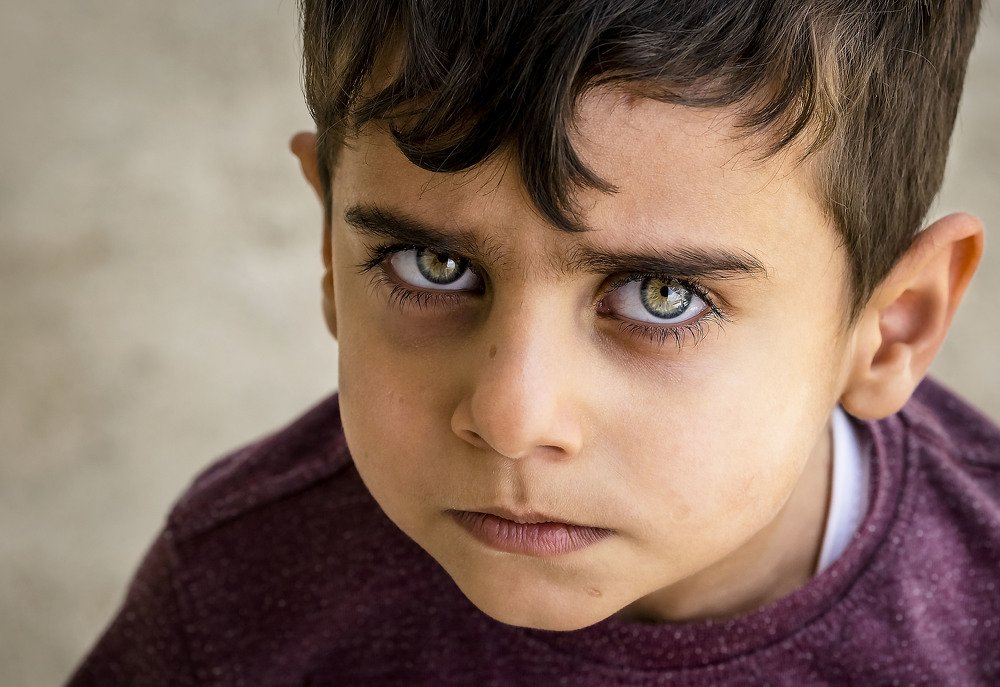 Фотография автора ziba alirezaei58