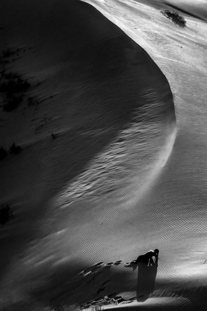 Фотография автора ziba alirezaei58