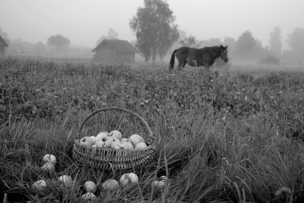 На рассвете