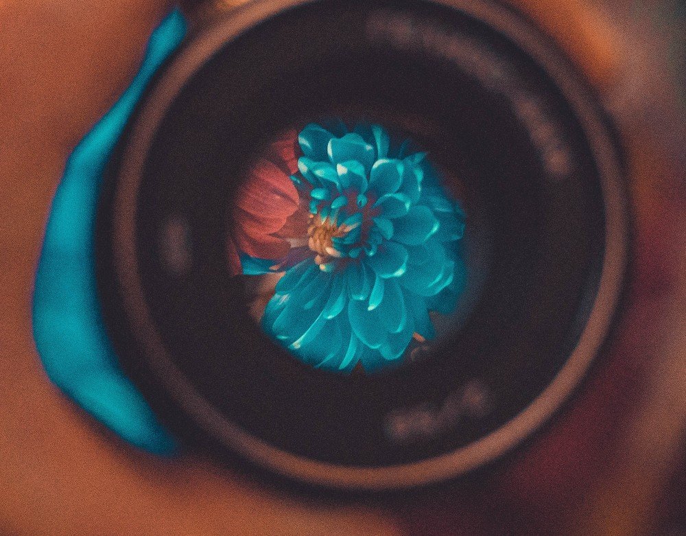 Цветок-Объектив-Объектив-Глаз