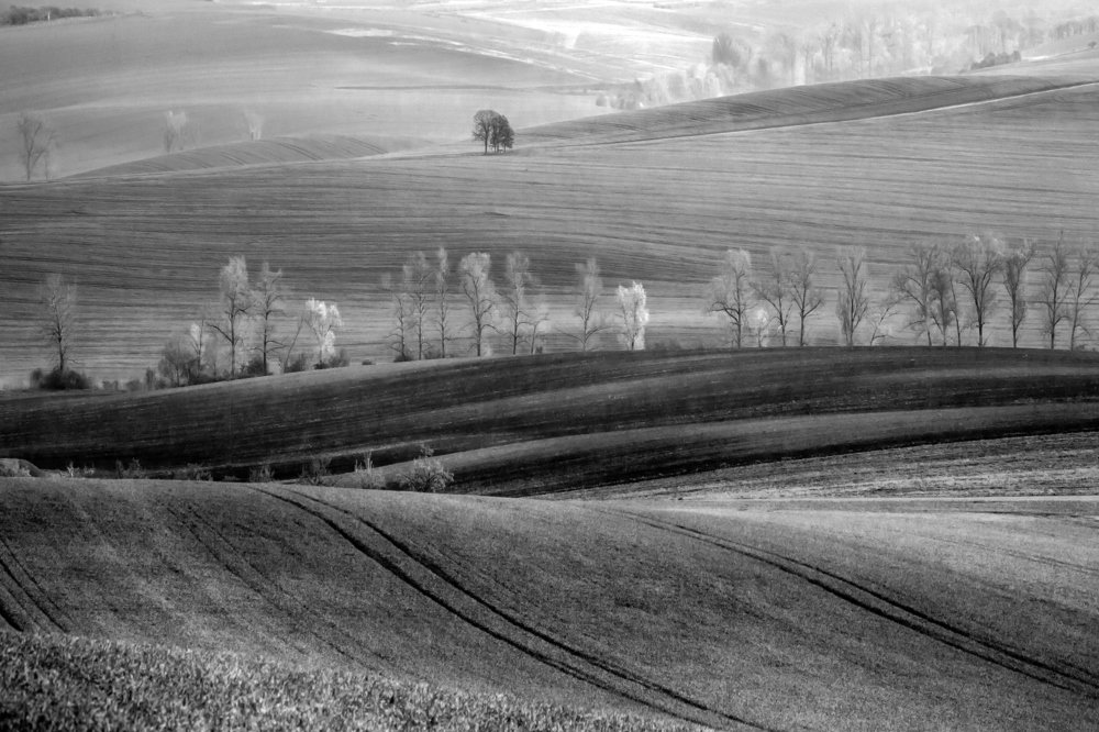 Пробуждение земли