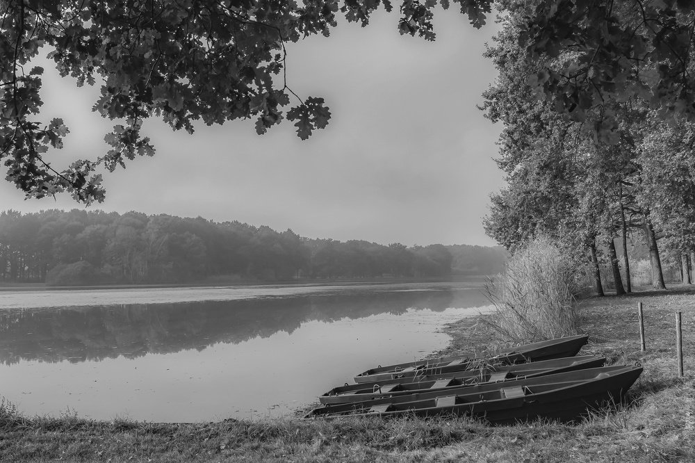 Photograph by Демьян Лопатов