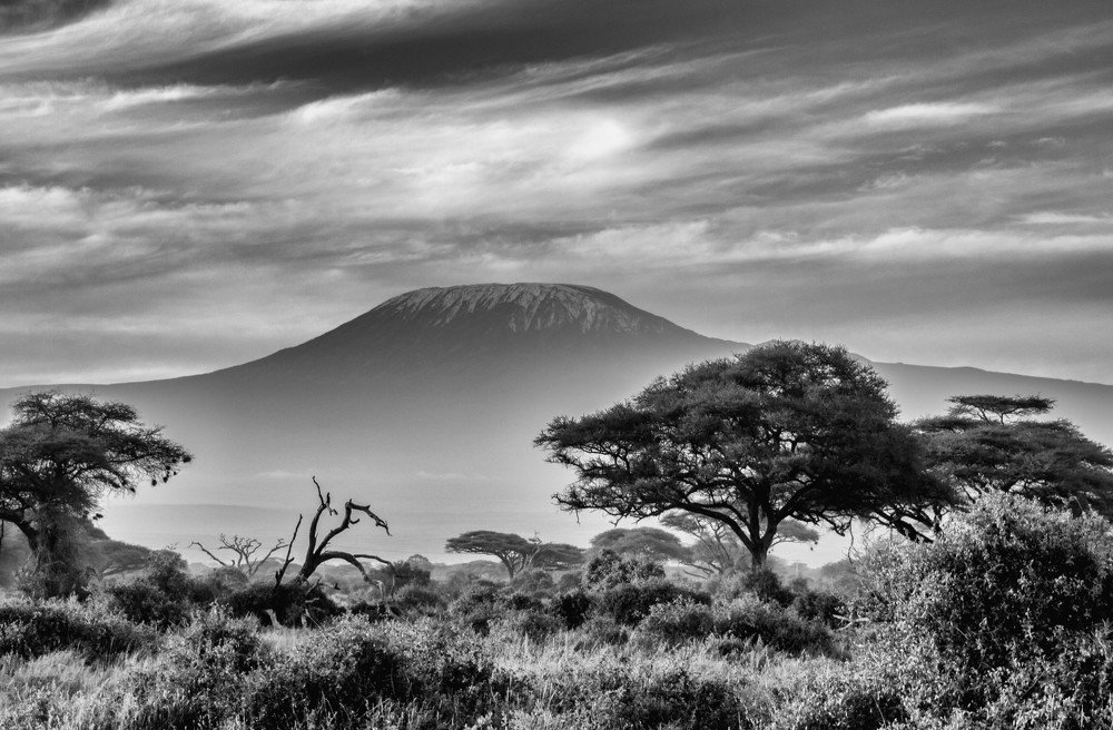 Kilimanjaro