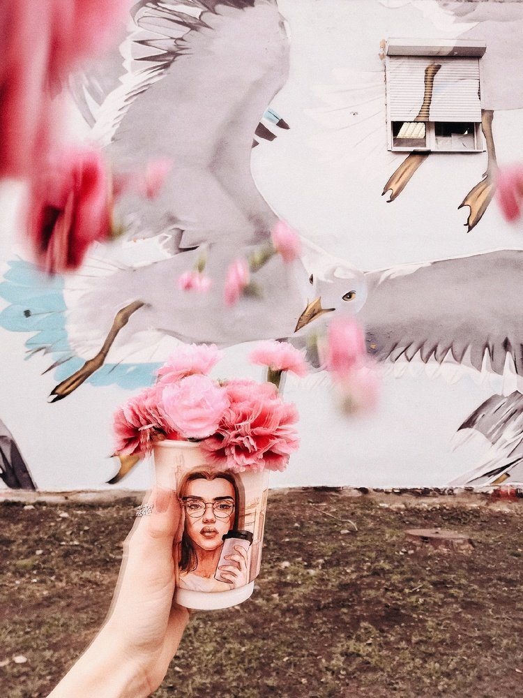 Чайки прилетели