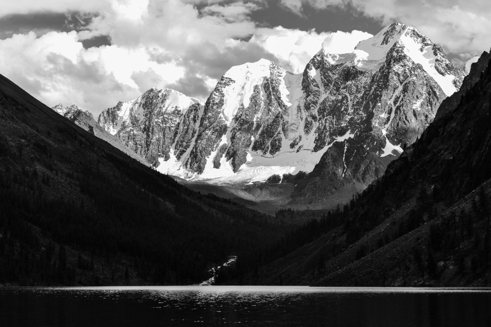 Мечта, Сказка и Красавица