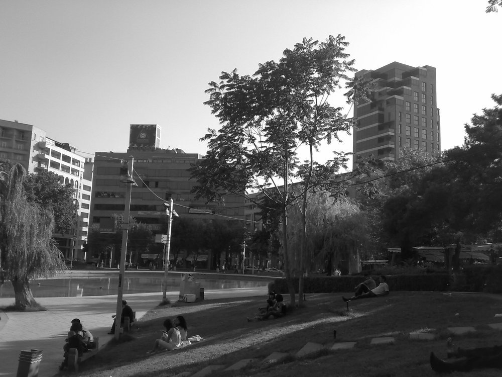 Photo #3143444