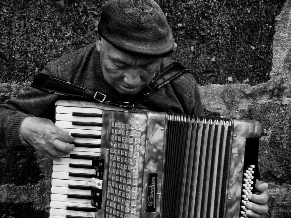 accordion player