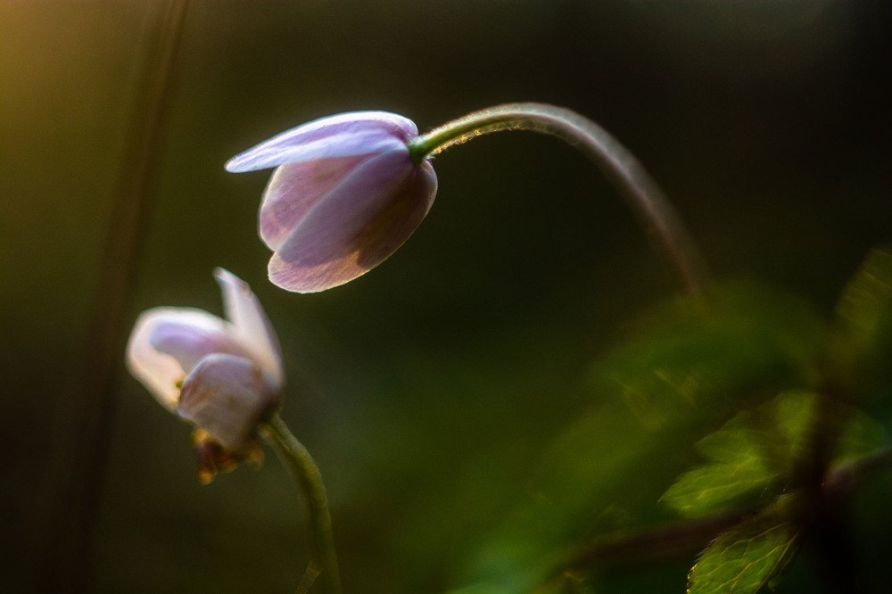 Photograph by Татьяна Конопацкая