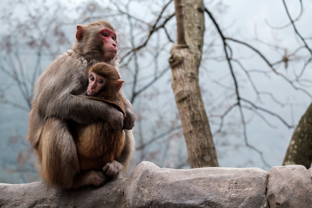 Когда холодно