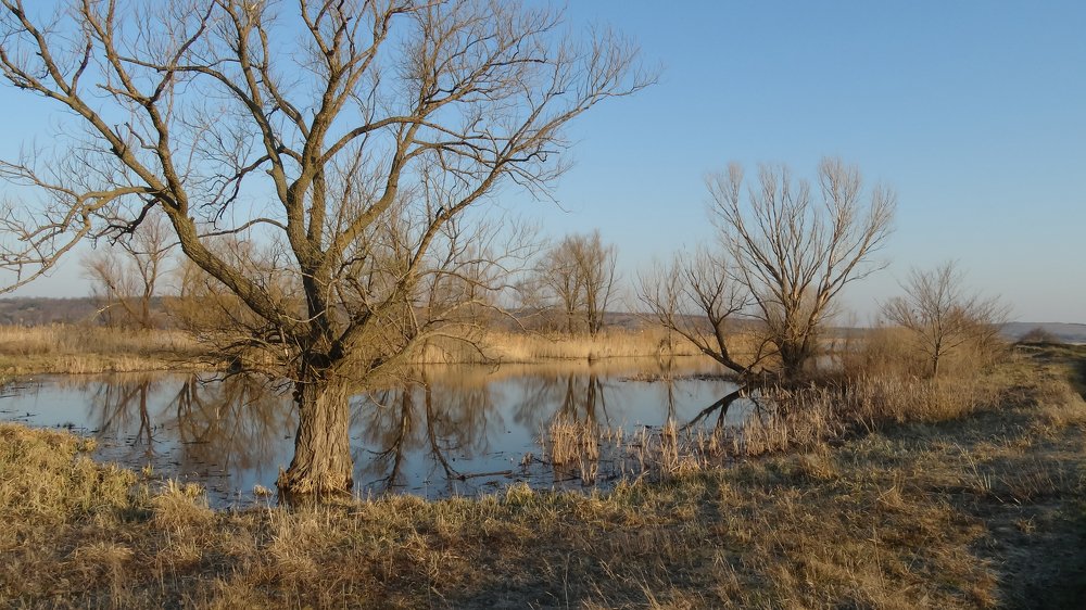 Photograph by Чмырев Роман