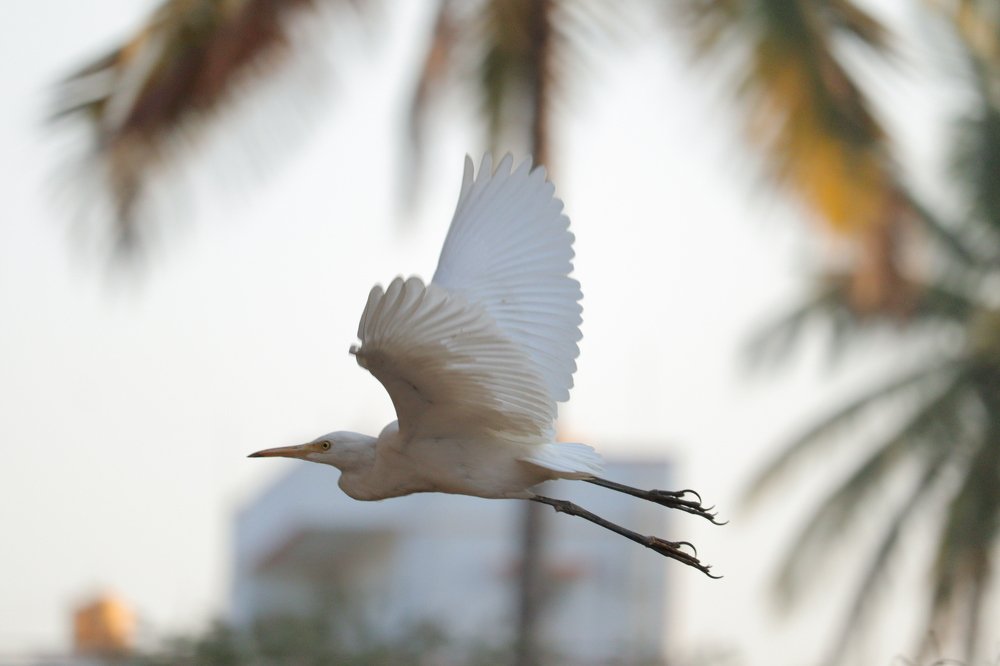 Just hesitate reach close to me