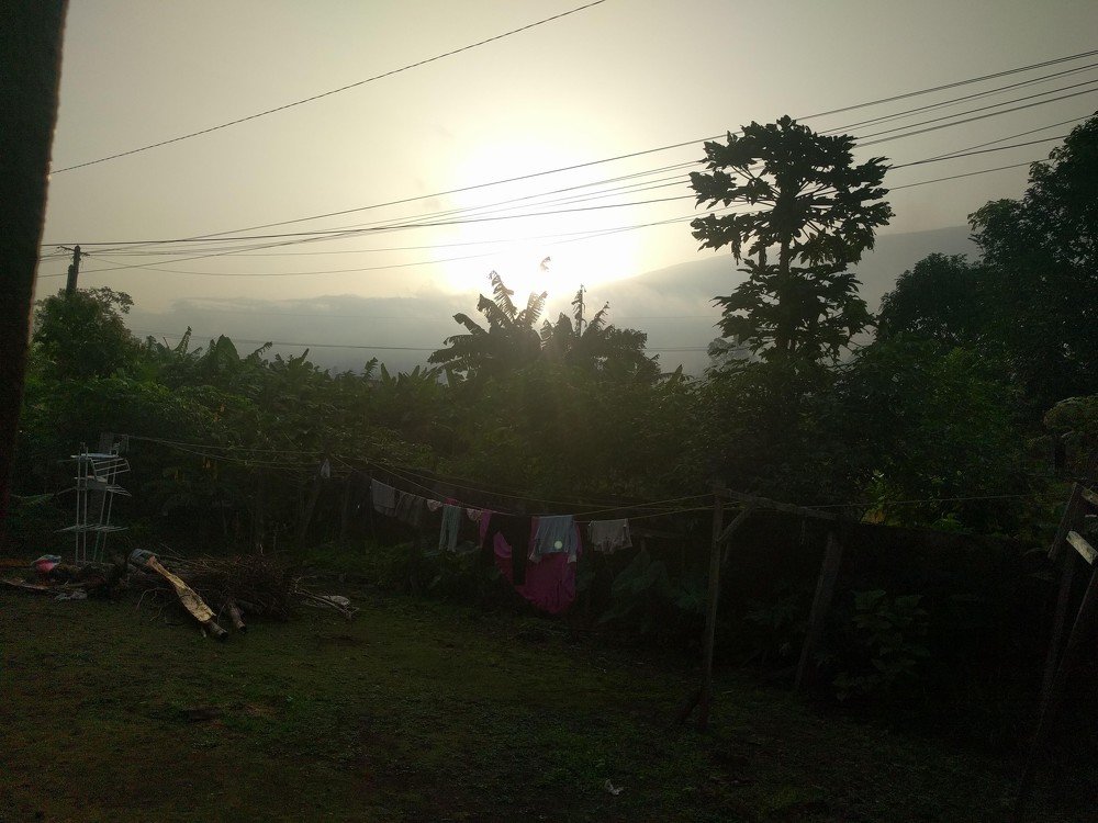 The sun