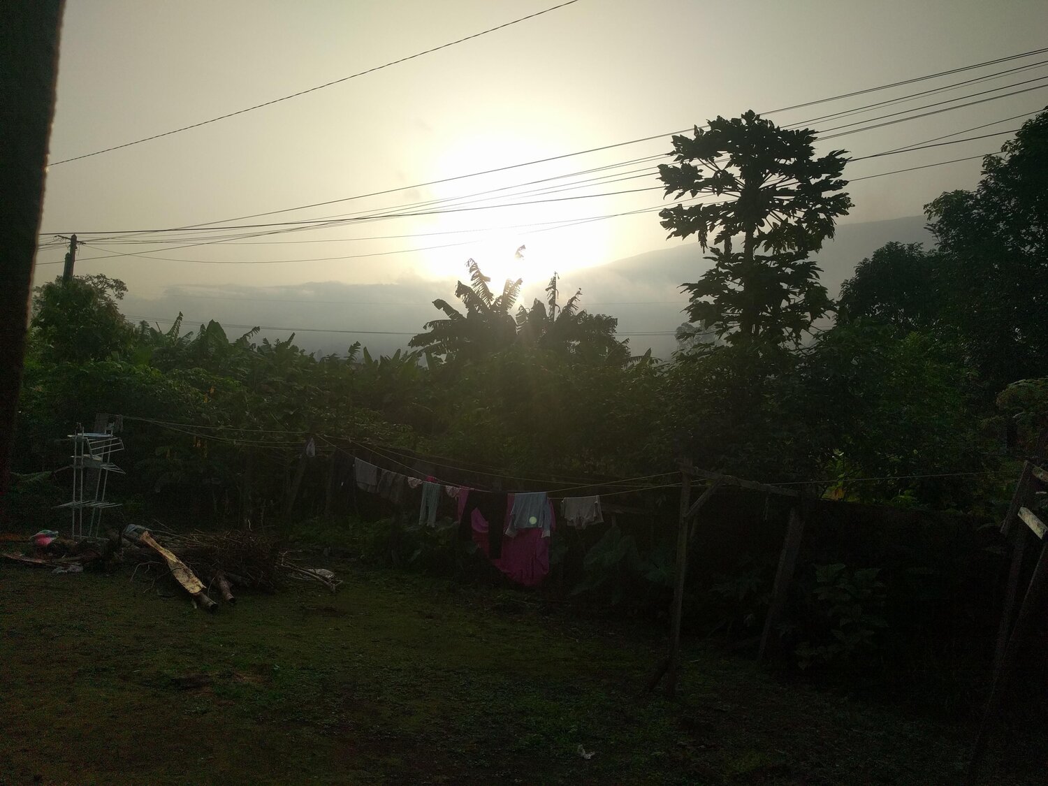 The sun