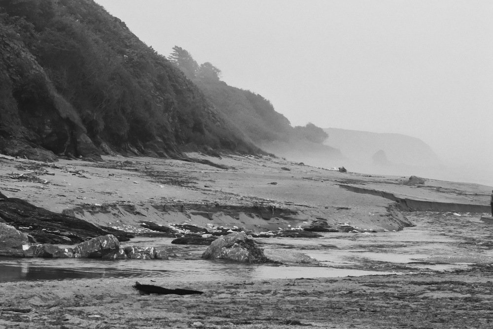 Photo #3144046