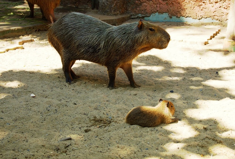 with mom we have a rest