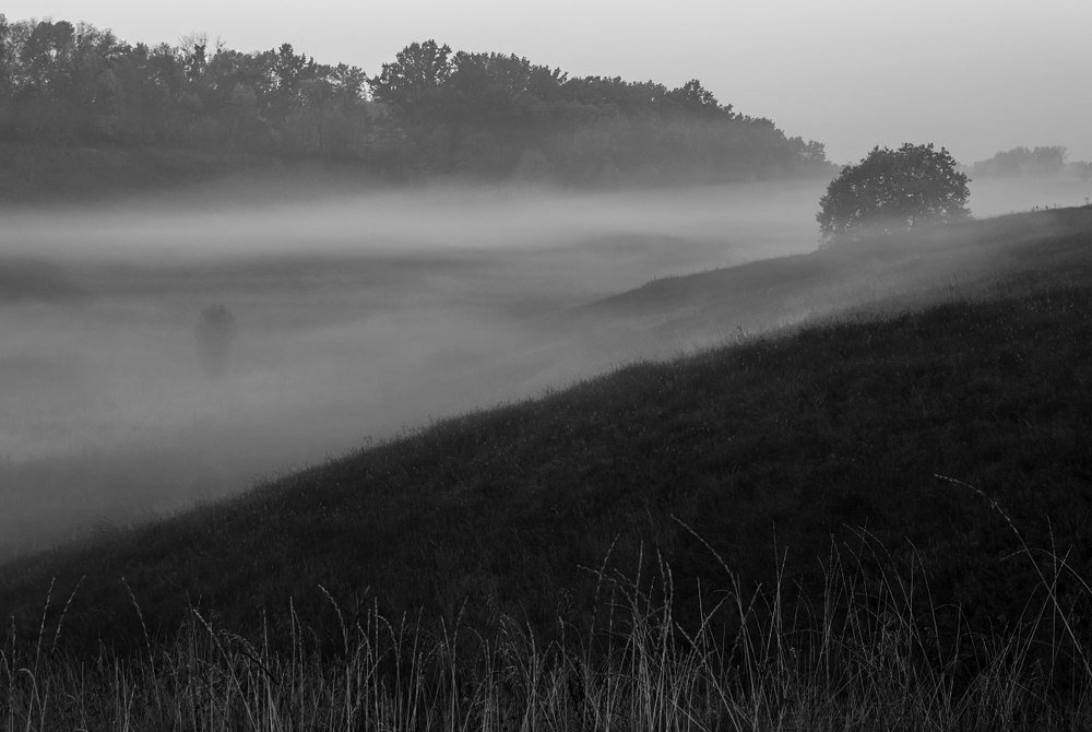 Утро в тумане