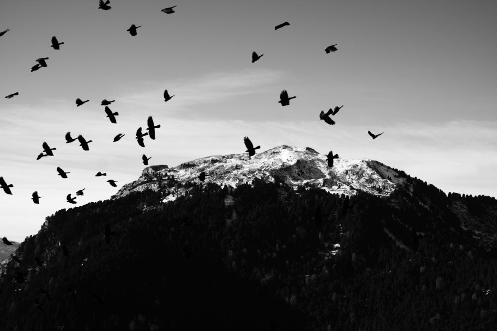 Photograph by Анна